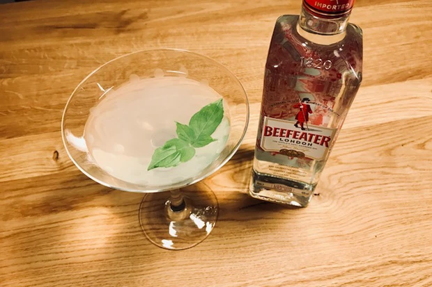 Gin trifft Basilikum