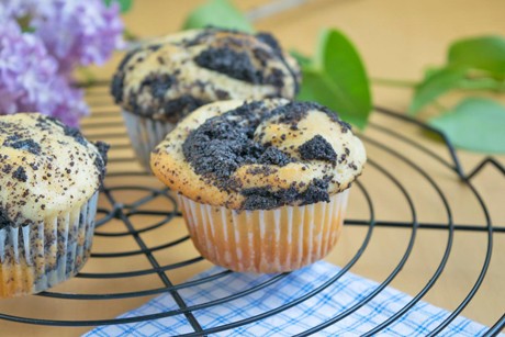 Mohn-Muffins