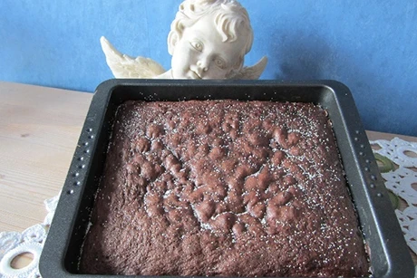 Schokoladenkuchen-mit-Stevia
