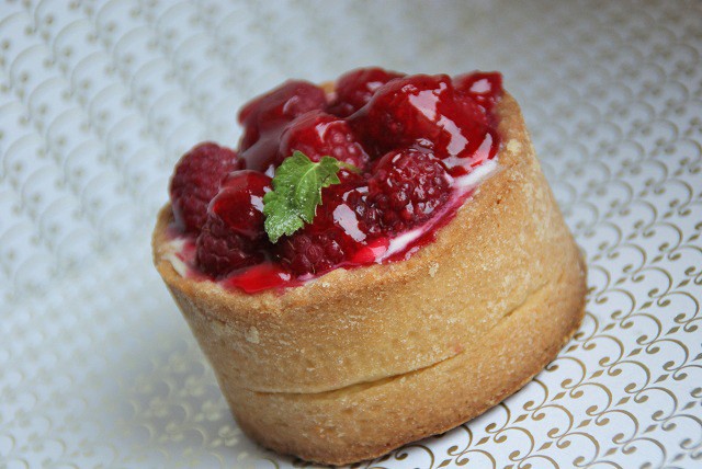Himbeer-Vanillepudding Kuchen