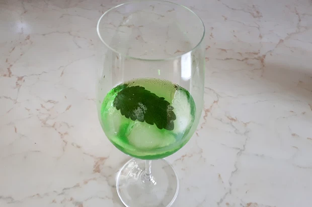 Gr&uuml;ner Hugo