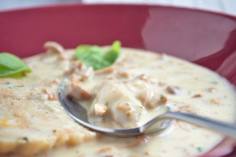 Eierschwammerlragout