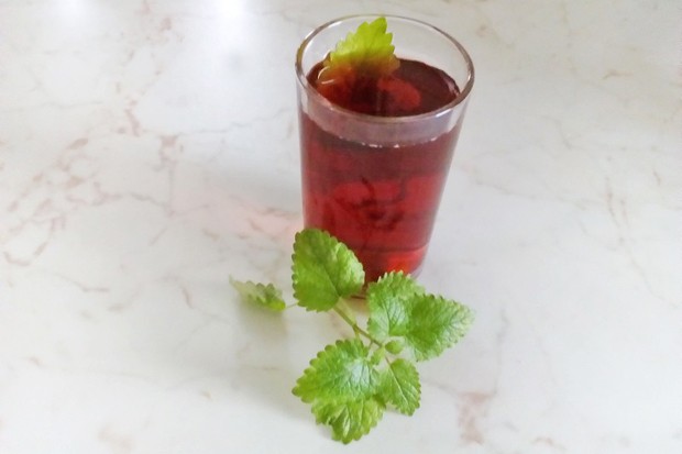 Sommertee mit Minze