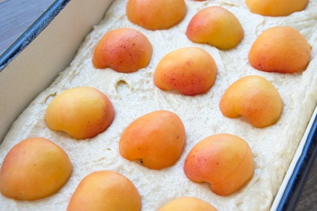 Einfacher Fruchtkuchen