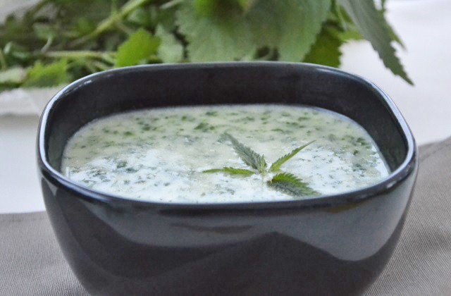 Brennnesselsuppe