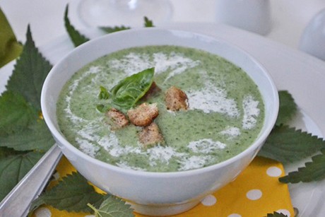 Brennnessel-Suppe