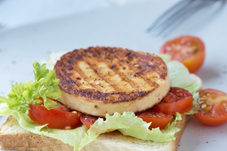 Gegrillter Halloumi