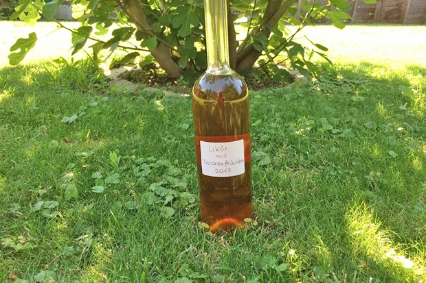 Likör mit Trockenfrüchten