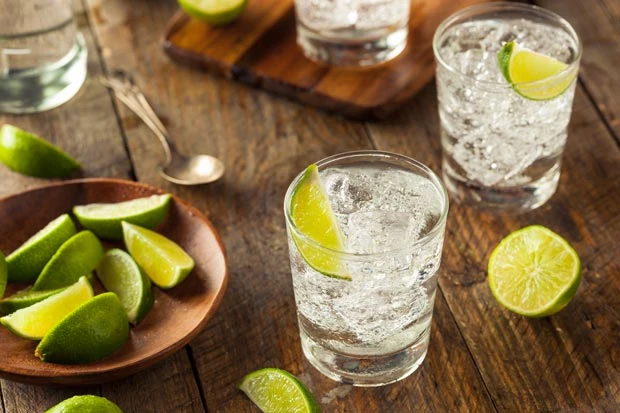 Gin Selbermachen