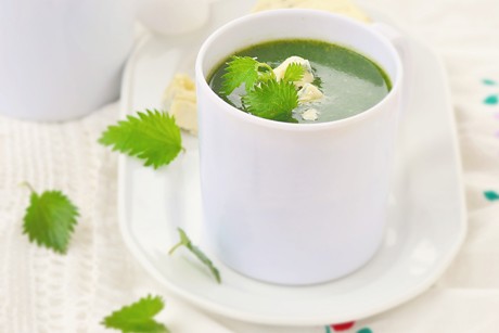 Brennesselsuppe mit Bärlauch