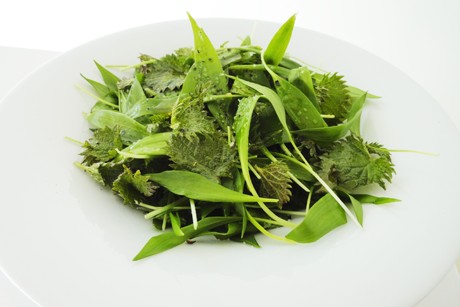 Bärlauchsalat
