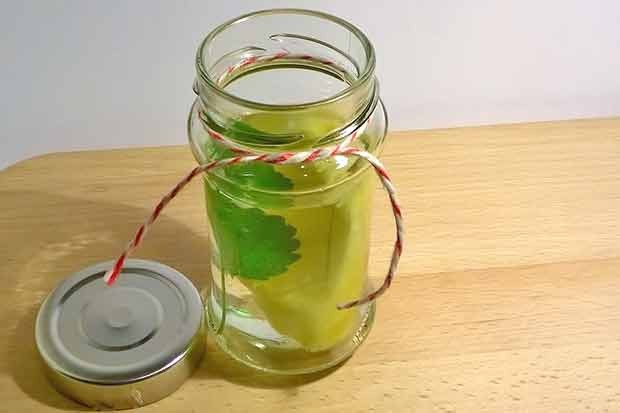 Zitronenmelisse Ananaswasser