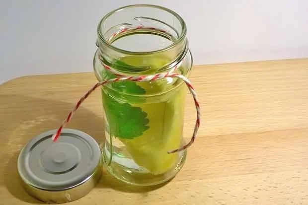 Zitronenmelisse Ananaswasser