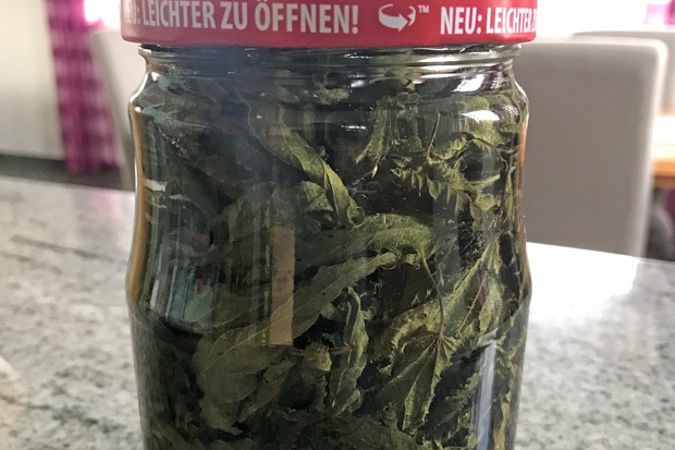 Brennnesselschnaps