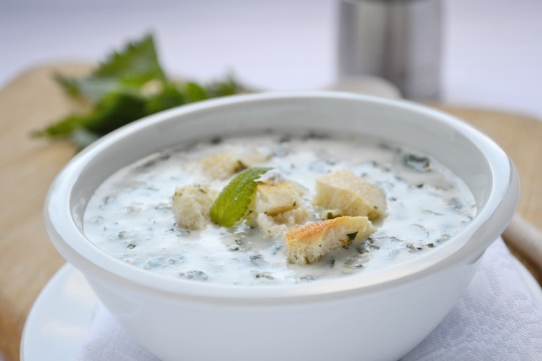 Brennesselsuppe