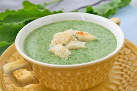 Einfache Sauerampfersuppe