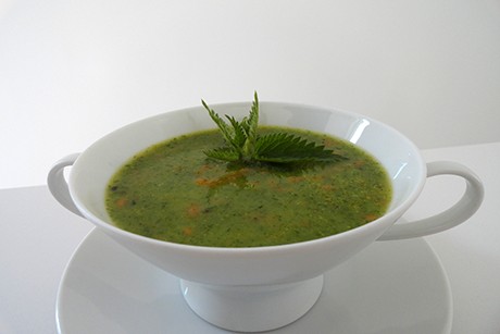Brennnesselsuppe