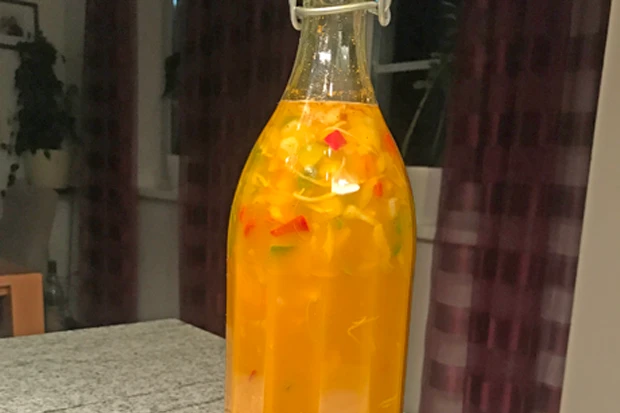 Natürliches Antibiotika
