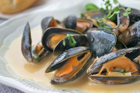 Miesmuscheln in Weißwein-Curry-Soße