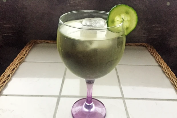 Ginspritzer