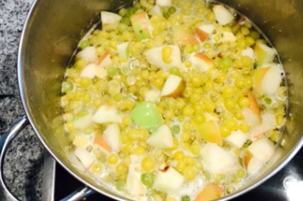 Trauben Ingwer Apfel Sirup