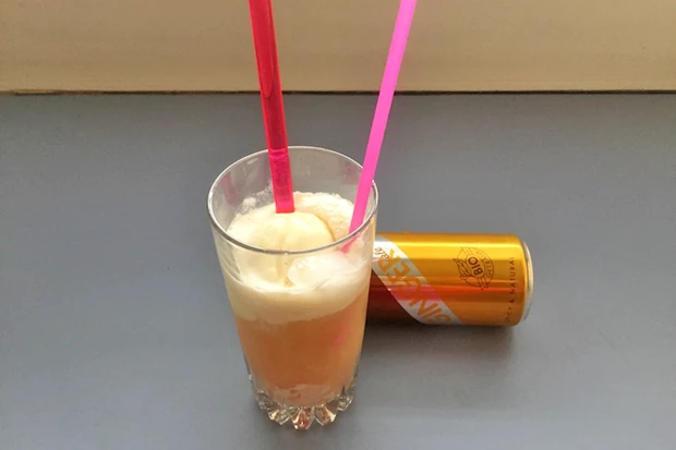 Ginger Ale Float