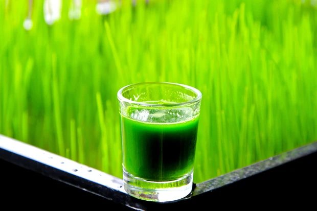 Weizengrassaft