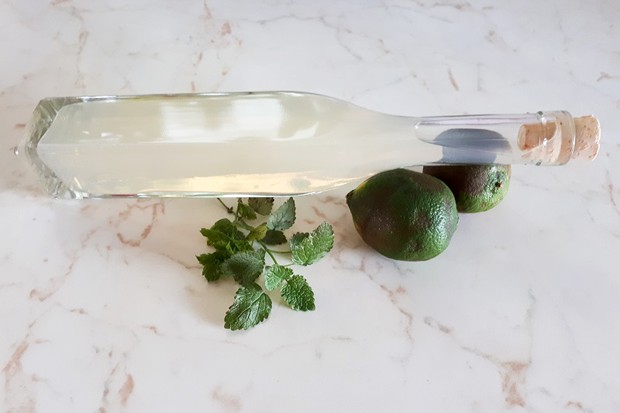 Limetten-Minze-Sirup