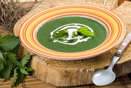 Brennnesselcremesuppe