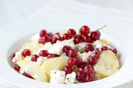 Feta-Tomaten-Ribiseln Salat