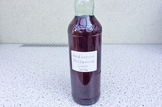 Waldbeeren-Likör mit Minze