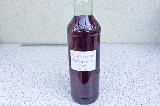 Waldbeeren-Likör mit Minze