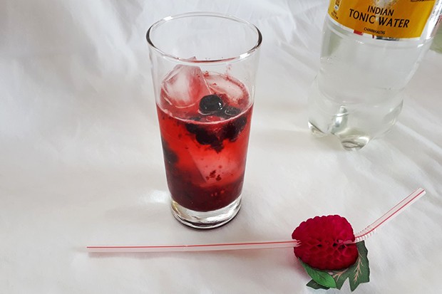 Wild Berry Longdrink