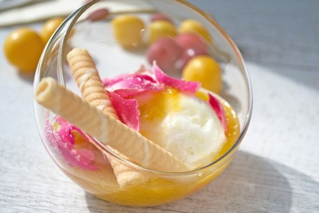 Fruchteis mit kandierten Rosenblättern und gelben Kriecherlmus