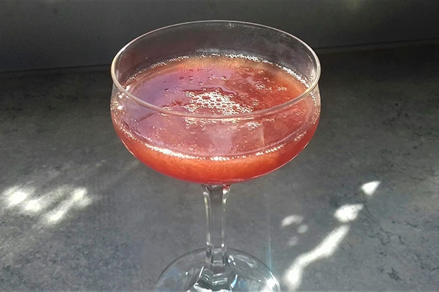 Erdbeerlik&ouml;r aus selbstgemachter Erdbeermarmelade