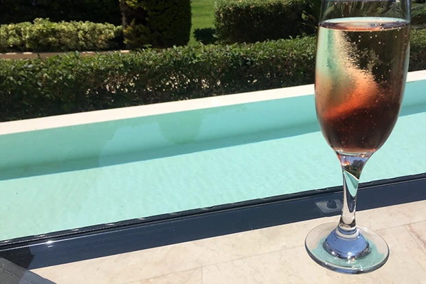 Leichter Kir Royal mit Prosecco