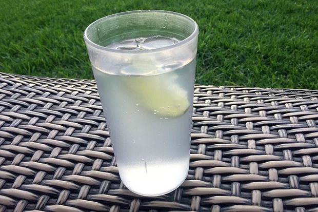 Sommerlicher Gin Fizz mit Limette