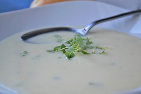 Camembertsuppe