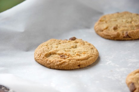 Haselnuss-Zimt Cookies