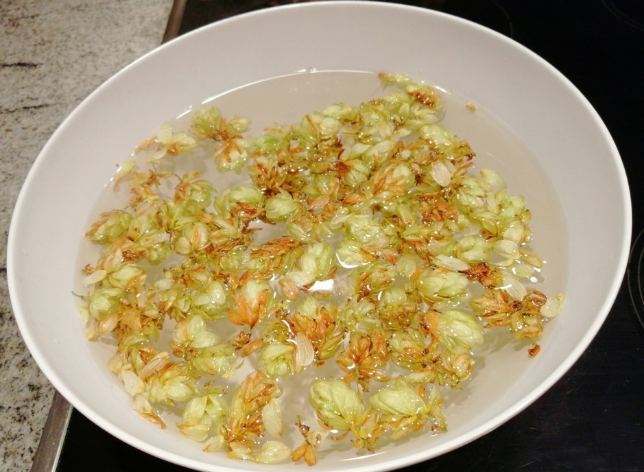 Hopfen-Tee