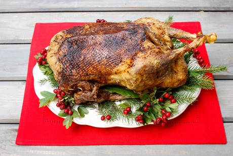 Gebratene Gans