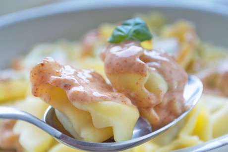 Tortellini mit Obers-Käse-Soße