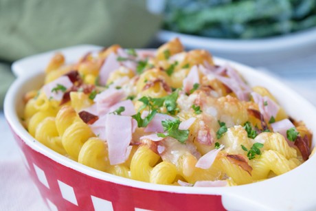 Nudel-Käse-Gratin mit Schinken