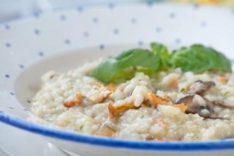 Pilzrisotto