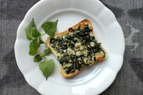 Brennessel Toast
