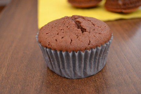 Schoko-Joghurt Muffins mit Stevia