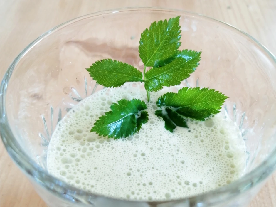 Giersch Smoothie