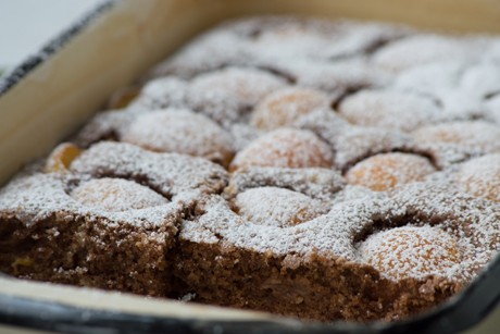 Dunkler Marillenkuchen