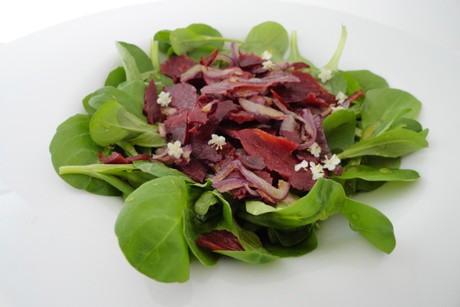 Holunder-Salat