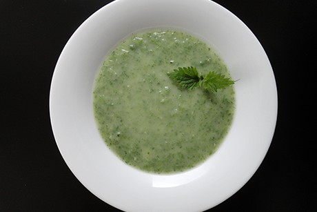 Brennnesselsuppe